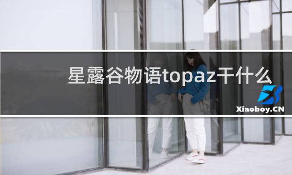 星露谷物语topaz干什么