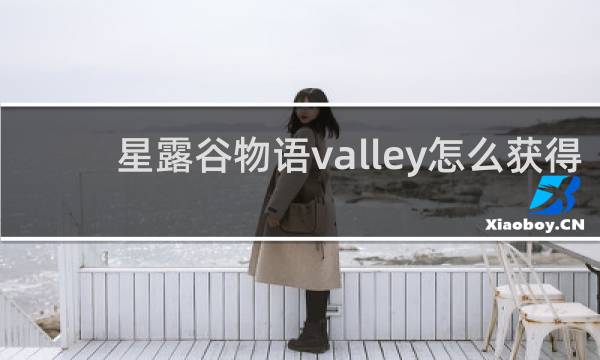 星露谷物语valley怎么获得