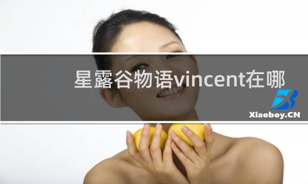 星露谷物语vincent在哪