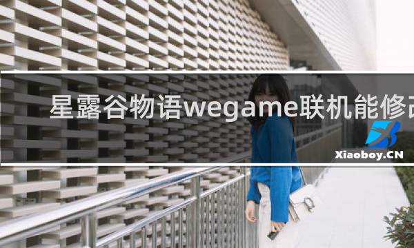 星露谷物语wegame联机能修改