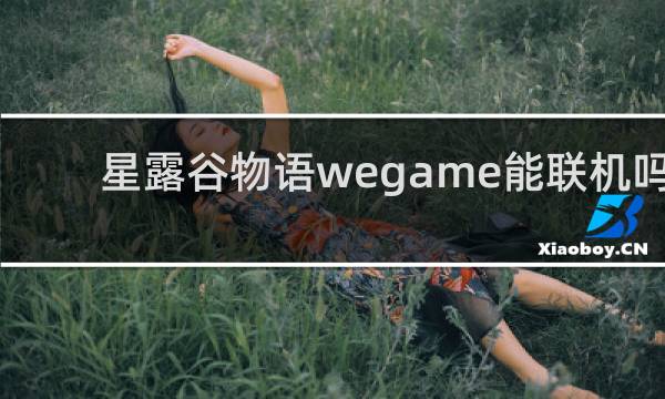 星露谷物语wegame能联机吗