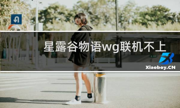 星露谷物语wg联机不上