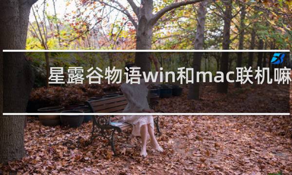 星露谷物语win和mac联机嘛