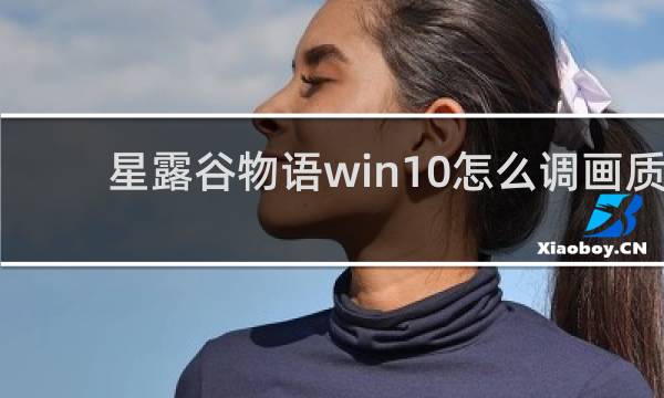 星露谷物语win10怎么调画质