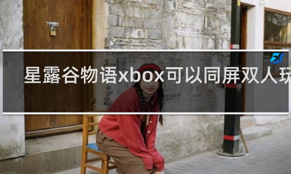 星露谷物语xbox可以同屏双人玩吗