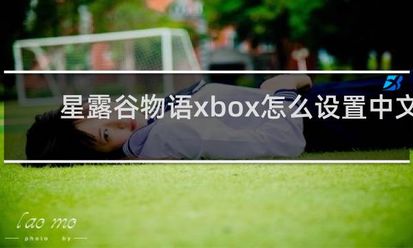 星露谷物语xbox怎么设置中文