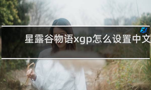 星露谷物语xgp怎么设置中文
