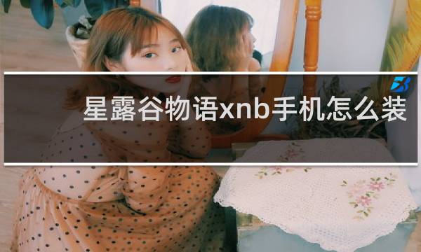星露谷物语xnb手机怎么装