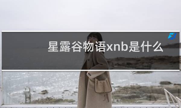 星露谷物语xnb是什么