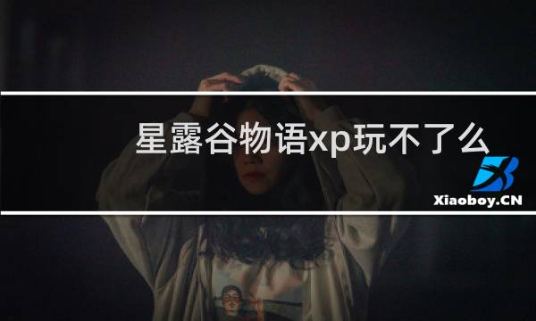星露谷物语xp玩不了么