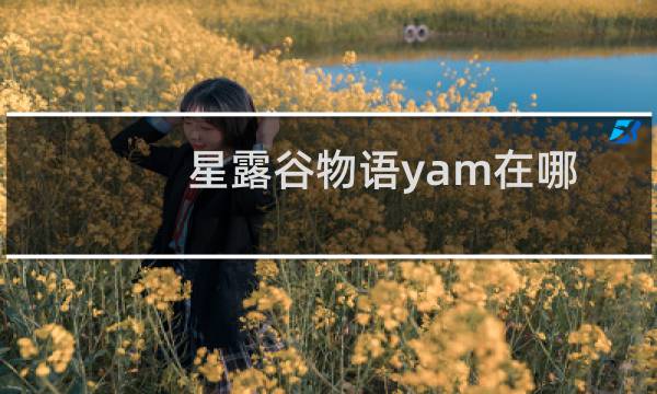 星露谷物语yam在哪