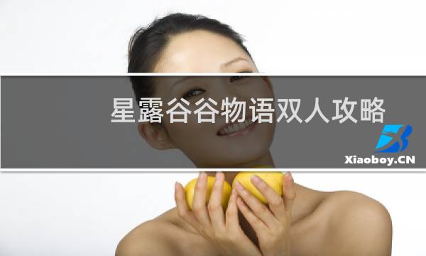 星露谷谷物语双人攻略