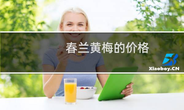 春兰黄梅的价格