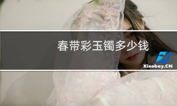 春带彩玉镯多少钱