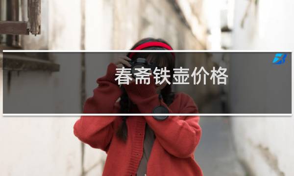 春斋铁壶价格