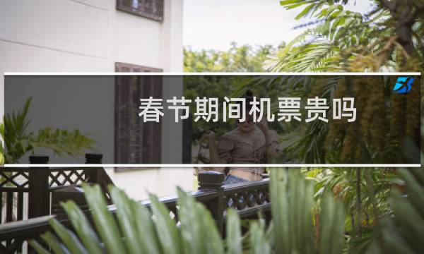春节期间机票贵吗
