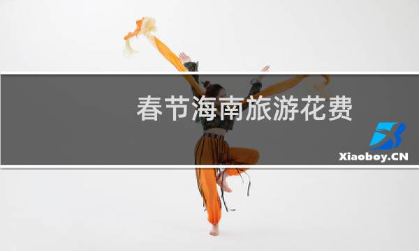春节海南旅游花费