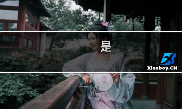 是 成语
