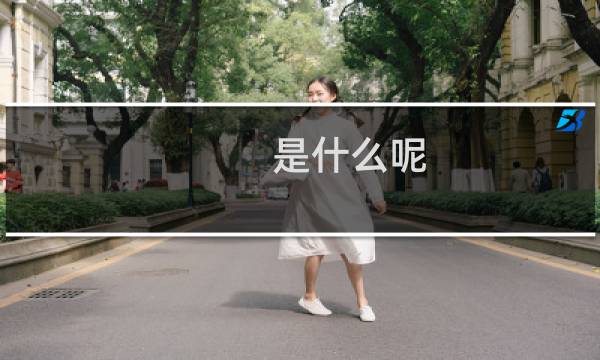 是什么呢?