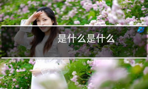 是什么是什么?