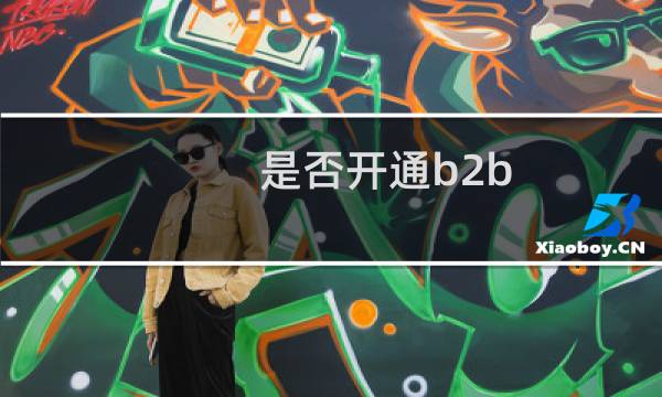 是否开通b2b