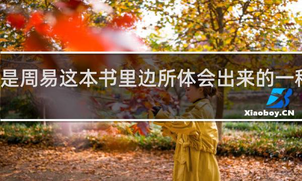 是周易这本书里边所体会出来的一种精神
