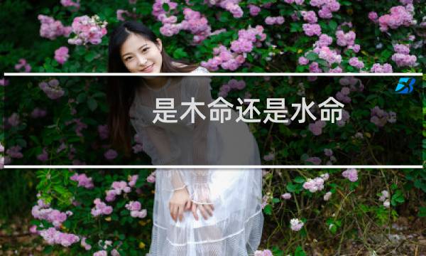 是木命还是水命