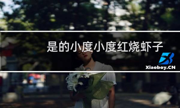 是的小度小度红烧虾子