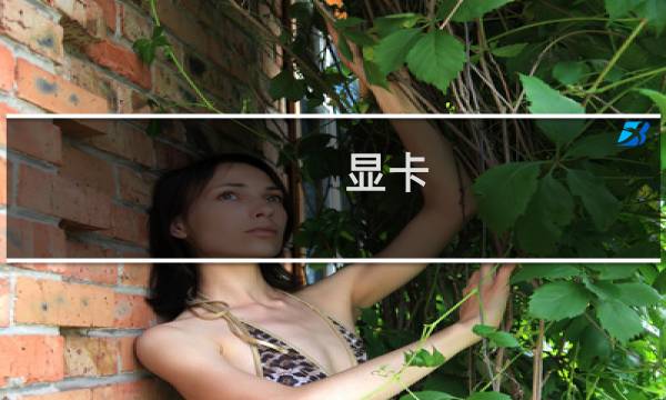 显卡 最终幻想13