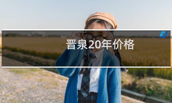 晋泉20年价格