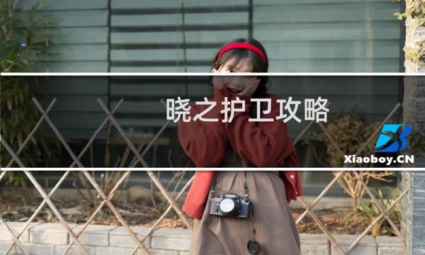 晓之护卫攻略