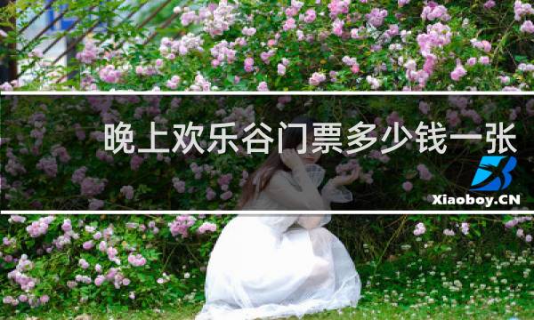 晚上欢乐谷门票多少钱一张