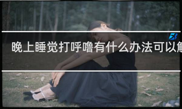 晚上睡觉打呼噜有什么办法可以解决