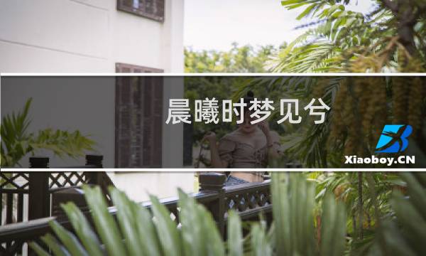 晨曦时梦见兮 攻略