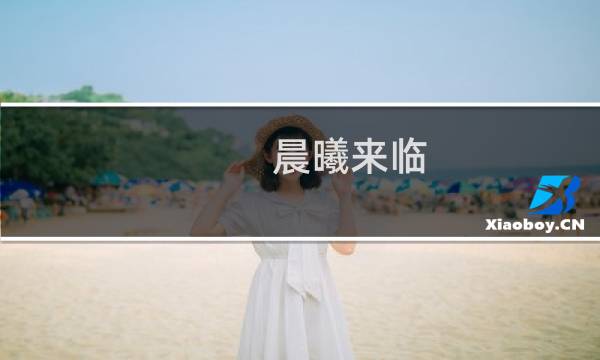 晨曦来临 攻略
