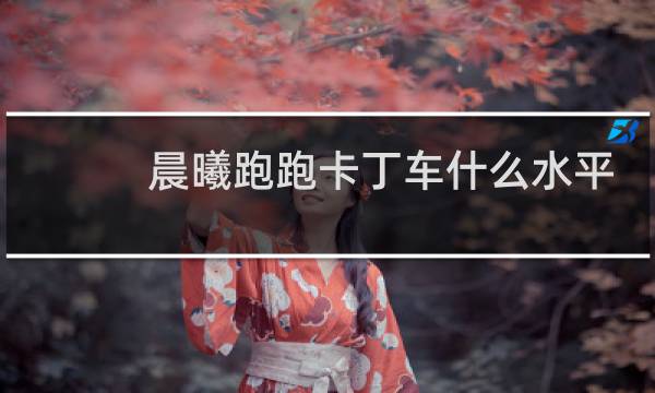晨曦跑跑卡丁车什么水平
