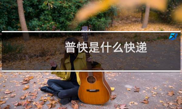 普快是什么快递