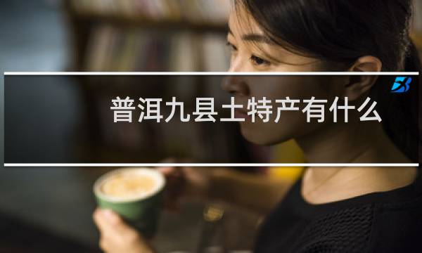 普洱九县土特产有什么