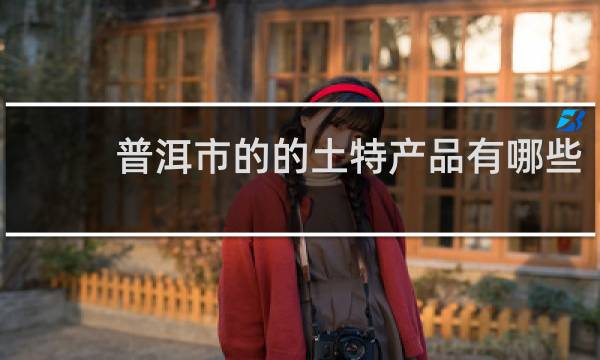 普洱市的的土特产品有哪些