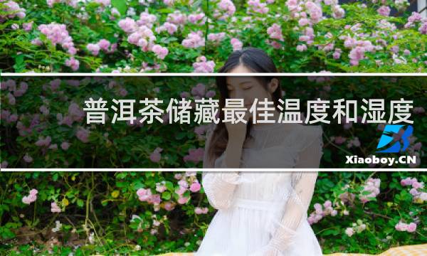 普洱茶储藏最佳温度和湿度