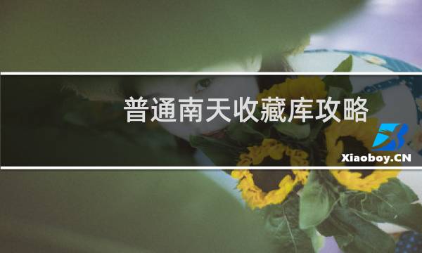 普通南天收藏库攻略