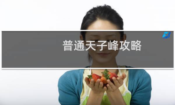 普通天子峰攻略