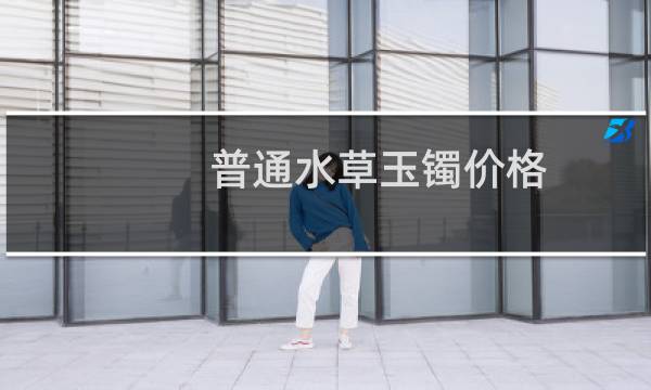 普通水草玉镯价格