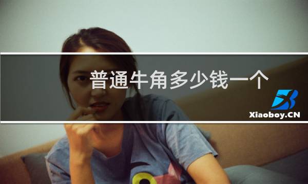 普通牛角多少钱一个