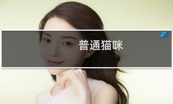 普通猫咪 攻略