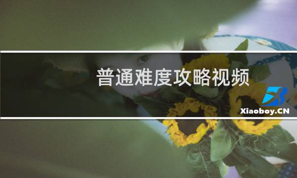 普通难度攻略视频