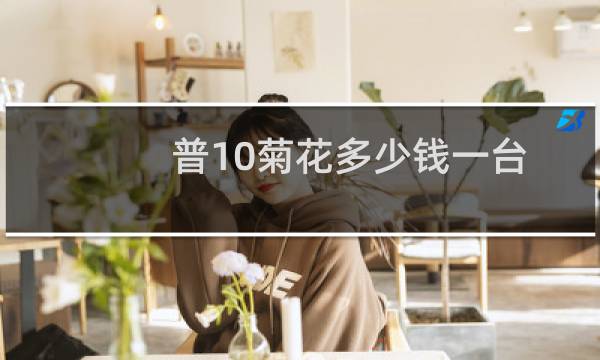 普10菊花多少钱一台