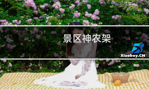 景區(qū)神農(nóng)架