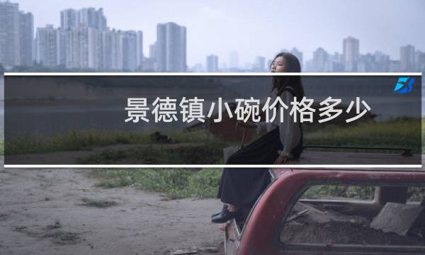 景德镇小碗价格多少