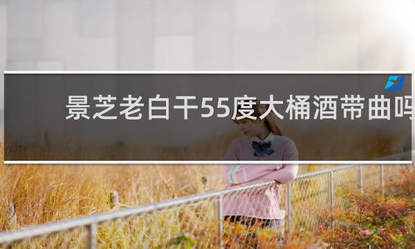 景芝老白干55度大桶酒带曲吗